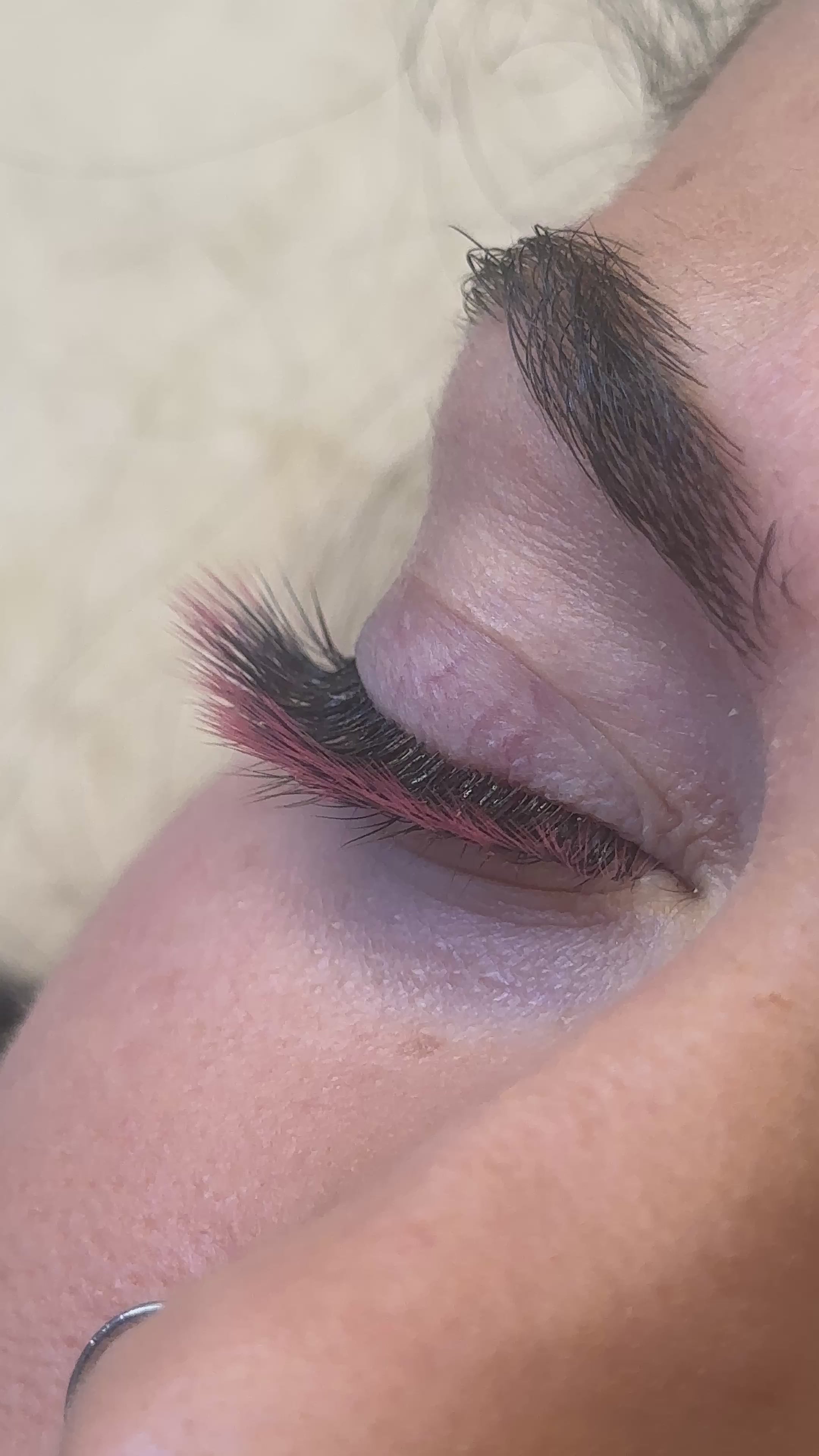 5D Promade Colorato Bicolore Ciglia 40 linee MIX