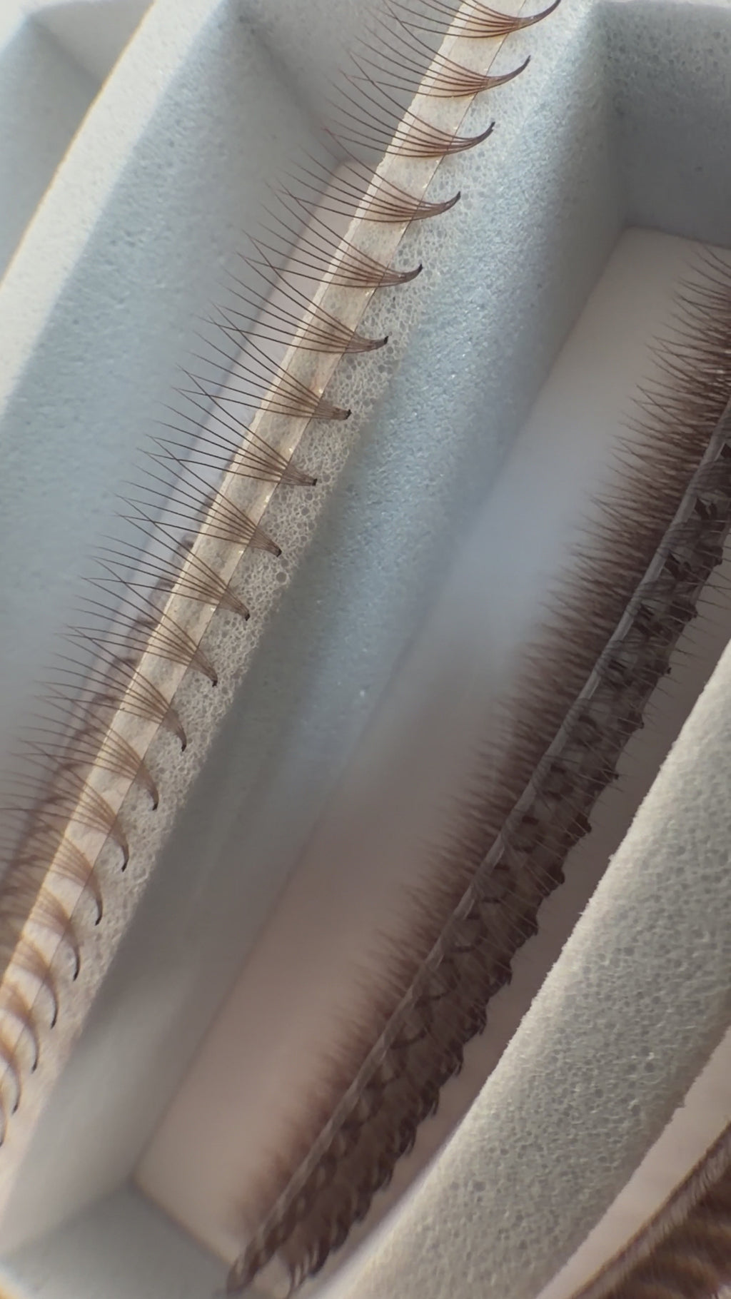 3D Promade eyelash 0.07 - 20 rows